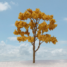model trees